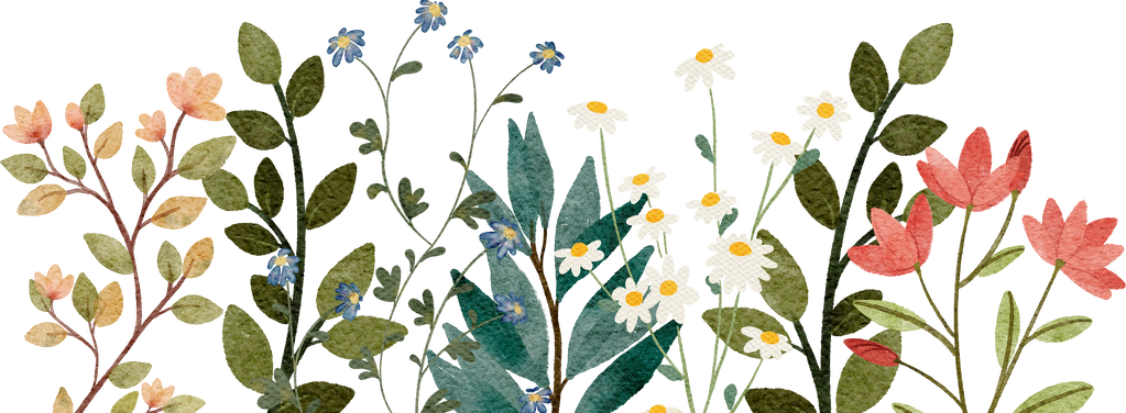 wildflower frame , horizontal
