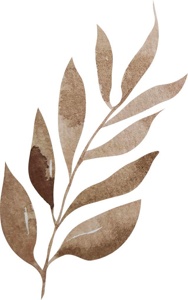 Watercolor brown boho leaves